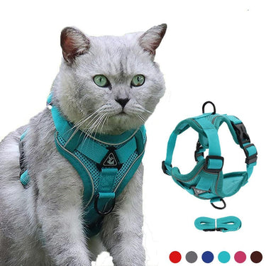 Catventures Leash and Harness Pet Collars & Harnesses KittyNook Cat Company